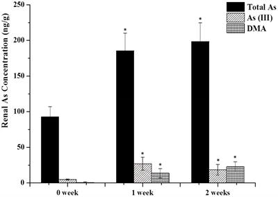 Accumulation of Arsenic Speciation and In Vivo Toxicity Following Oral Administration of a Chinese Patent Medicine Xiao-Er-Zhi-Bao-Wan in Rats